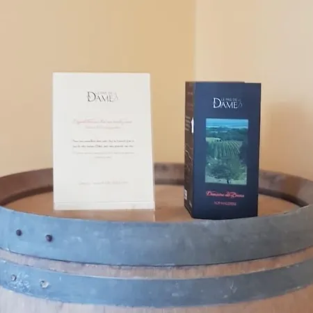 Domaine De La Petite Tour 3*