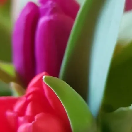 Domaine De La Petite Tour Affittacamere